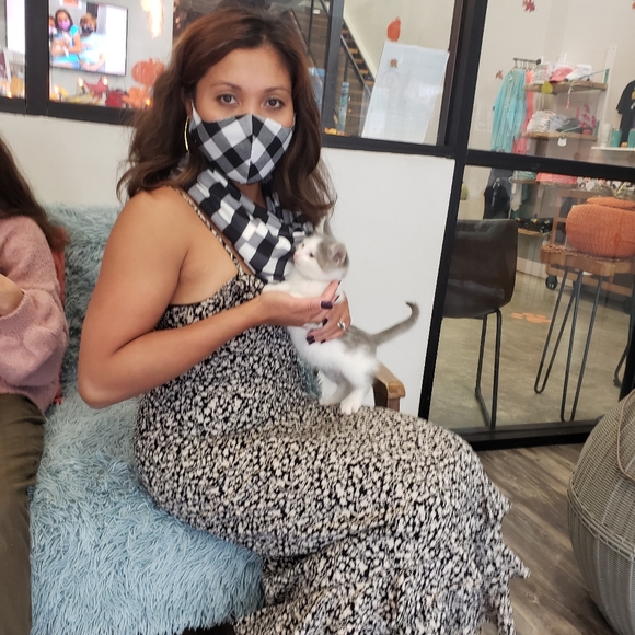 Meet your Posher, Ann - Picture 4 of 4